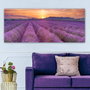 Wallity Lienzo Decorativo Multicolor 50 x 120 cm